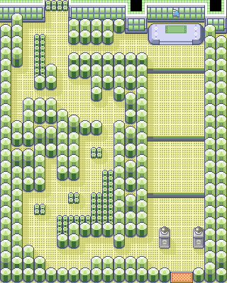 Fortree City Gym map