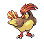 Pidgeotto sprite