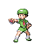 Camper Flint sprite