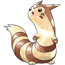 Furret artwork