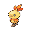 Shiny Torchic sprite