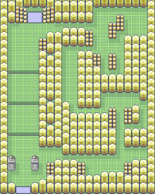 Fortree City Gym map