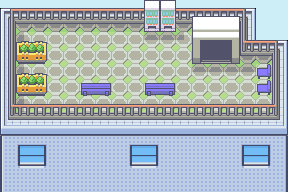 Lilycove City Department Store Rooftop map