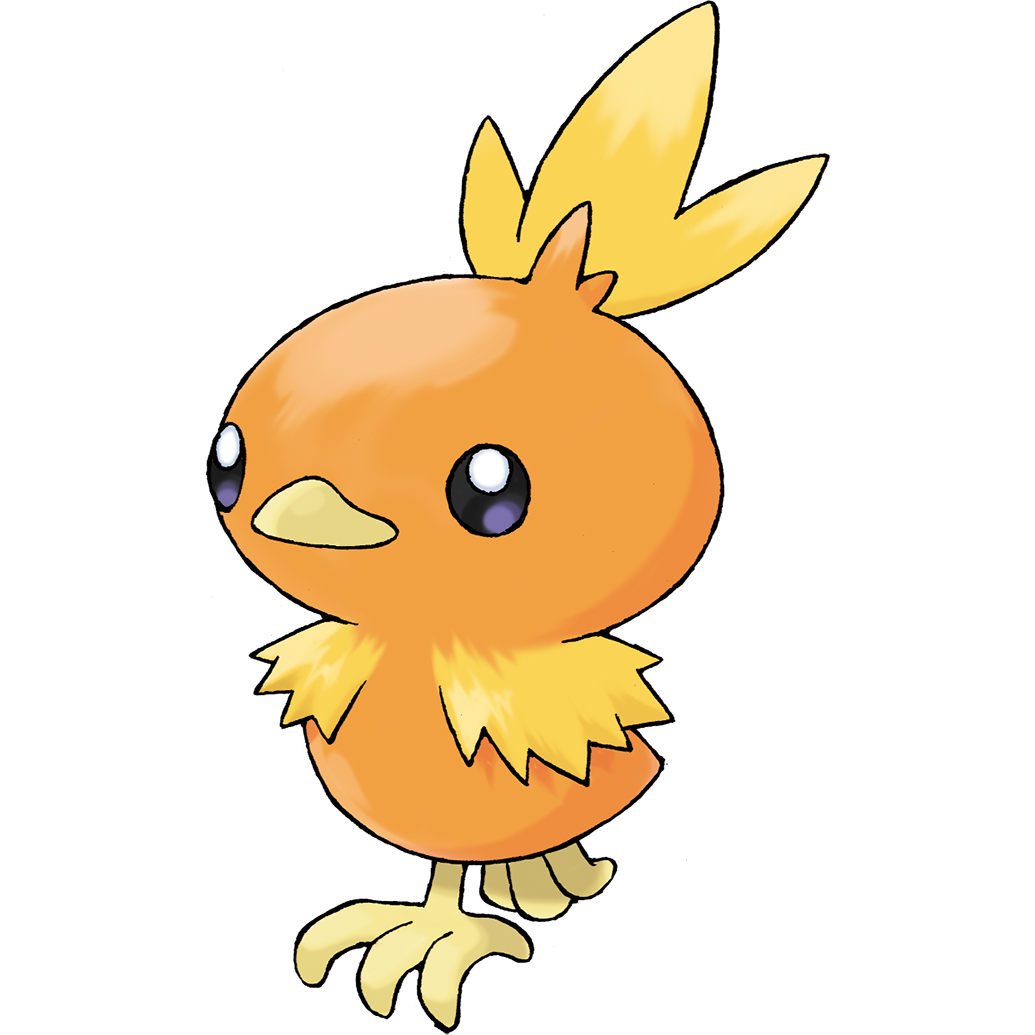 Torchic artwork